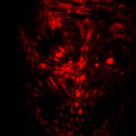 DarkTriad