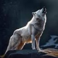 LoneWolf68