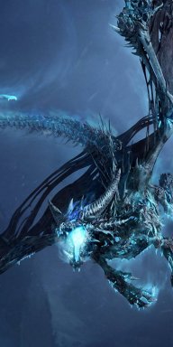 dragon079880
