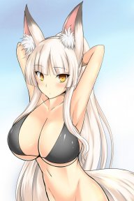 straykitty