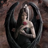 Angel83