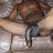 Andy_BBC