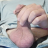 nicholas1234