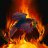 FIRE_RAVEN