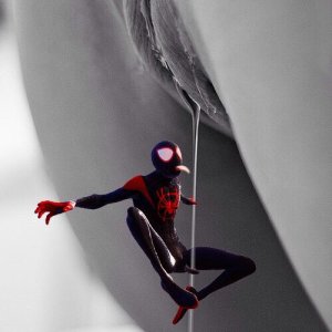 spidy6.jpg