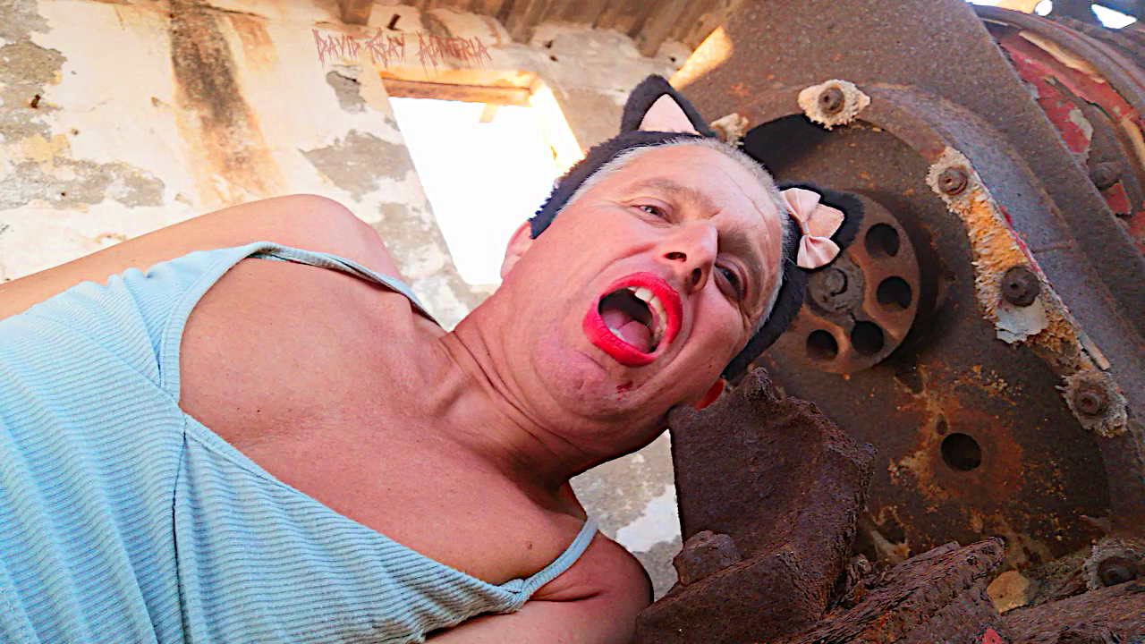 David Sissy Whore