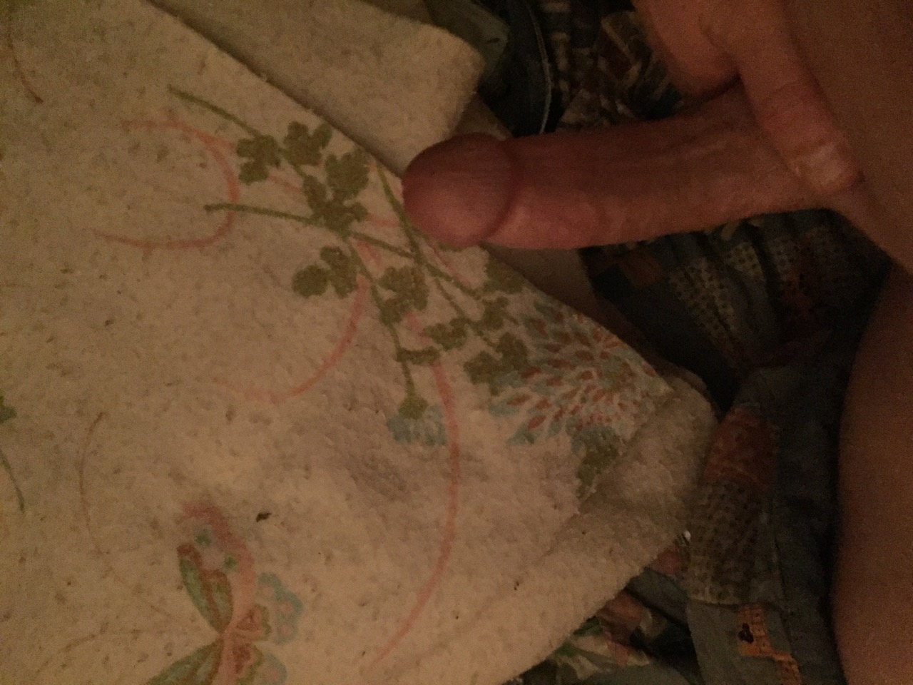 IMG_7683_Original.jpeg