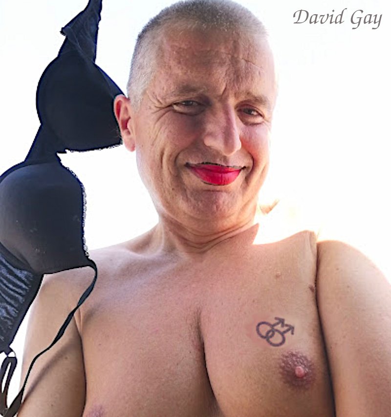 Los Pechos de David B.S. Gay .jpg