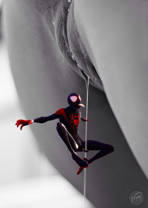 spidy6.jpg