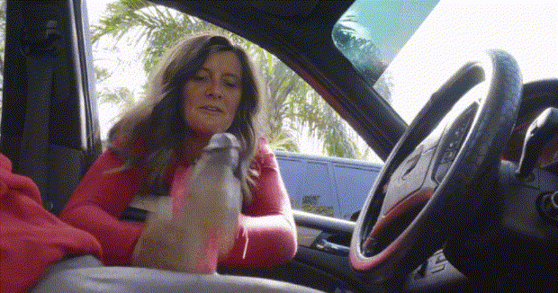 sue jowett wank (1).gif